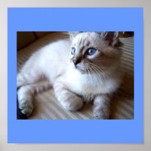 poster de los ojos azules