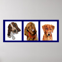 Poster de los perros