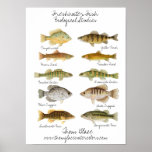 Poster de los pescados de agua dulce