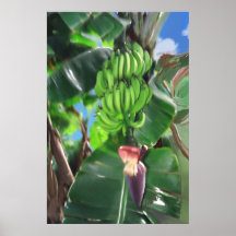 Poster de los plátanos