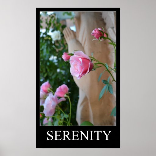 Poster de los rosas de la serenidad