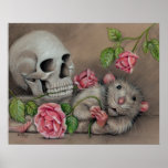 Poster de los rosas del cráneo de la rata
