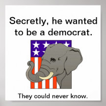Poster de los secretos del elefante