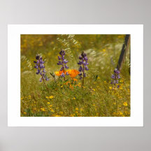 Poster de los Wildflowers