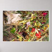 Poster de Morte 13 de la naturaleza