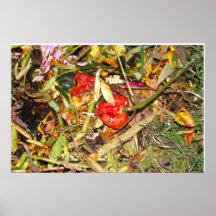 Poster de Morte 14 de la naturaleza