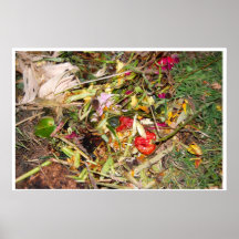 Poster de Morte 15 de la naturaleza