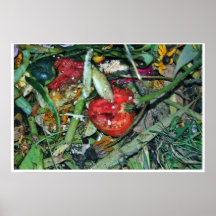 Poster de Morte 16 de la naturaleza