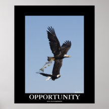Poster de motivación calvo de la foto de Eagles de