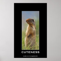 Poster de motivación de la foto de la fauna linda 