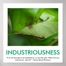 Poster de motivación del INDUSTRIOUSNESS
