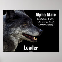 Poster de motivación del lobo gris del macho alfa