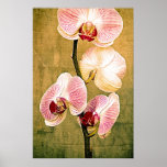 Poster de oro de las orquídeas