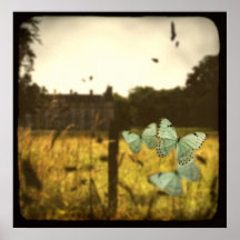 Poster de Papillons