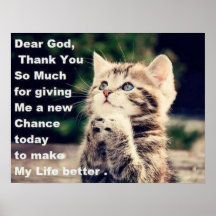 Poster de rogación adorable del gatito