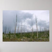 Poster de Yellowstone