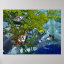 Poster del acuario de los platys del goldfish de R