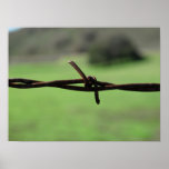 Poster del alambre de púas