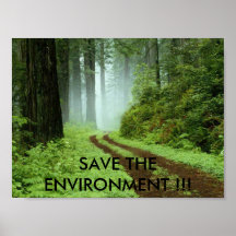 POSTER DEL AMBIENTE