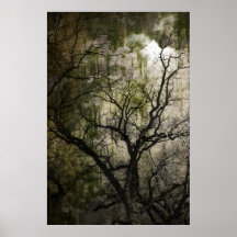 poster del árbol