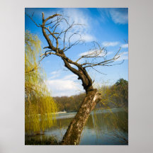 Poster del árbol