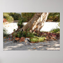 Poster del árbol de las plantas tropicales