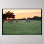 Poster del arte de la puesta del sol del caballo