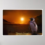 Poster del arte de la PUESTA DEL SOL del PINGÜINO