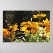 Poster del arte de Negro-Observar-Susan
