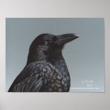 Poster del arte del pájaro del cuervo del cuervo p