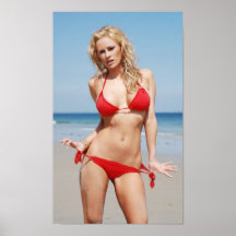 Poster del bikini