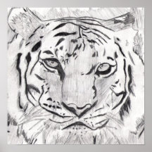 Poster del bosquejo del tigre