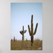 Poster del cactus del Saguaro
