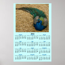 Poster del calendario del pavo real 2012
