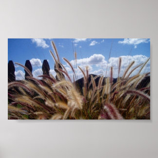 Poster del cambio de Temequila