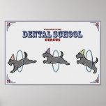 Poster del "circo dental"