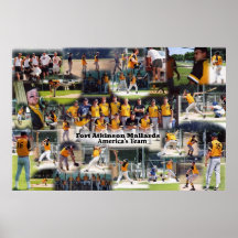 Poster del collage de los patos silvestres