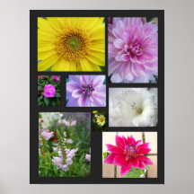 Poster del collage del jardín