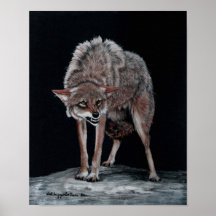 Poster del coyote #2