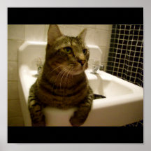 poster del cuarto de baño del gatito