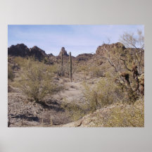 Poster del desierto 02 de Sonoran