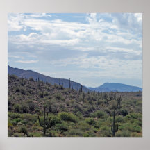 Poster del desierto de Arizona