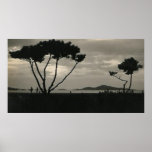 poster del desierto de la puesta del sol