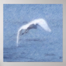 Poster del Egret