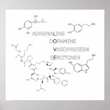 Poster del friki del amor de la estructura química