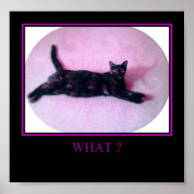 Poster del gatito