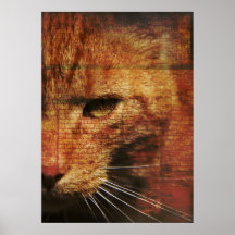 Poster del gato del jengibre