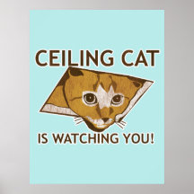 Poster del gato del techo