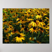 Poster del girasol