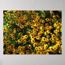 Poster del girasol 2
